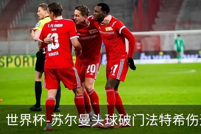世界杯-苏尔曼头球破门法特希伤退 半场新西兰1-0埃及