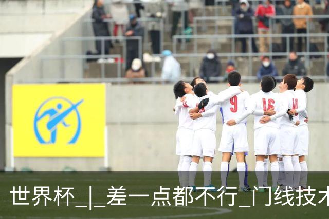 世界杯 | 差一点都不行 门线技术判定日本队并未进球